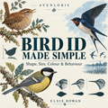 Bird ID Made Simple